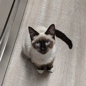 Meet your Posher, Colleen